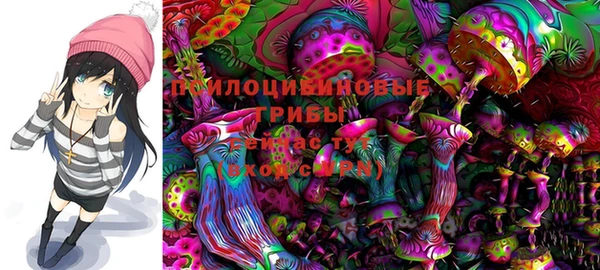 хмурый Лиски