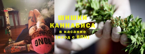 ПСИЛОЦИБИНОВЫЕ ГРИБЫ Магас