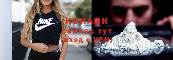хмурый Лиски