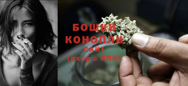 хмурый Лиски