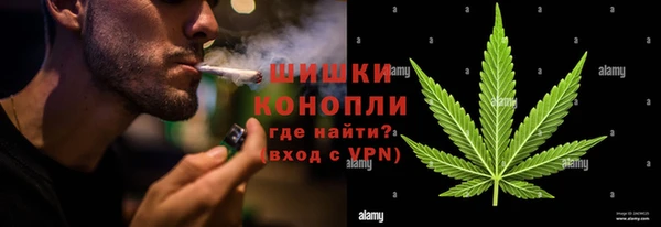 ПСИЛОЦИБИНОВЫЕ ГРИБЫ Магас