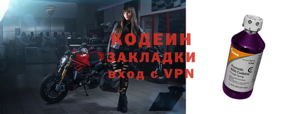 хмурый Лиски