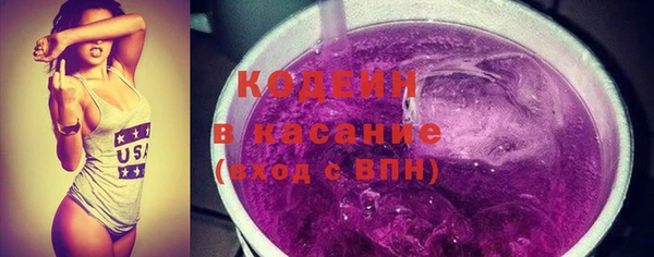 хмурый Лиски