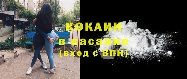 соль ск Тайга