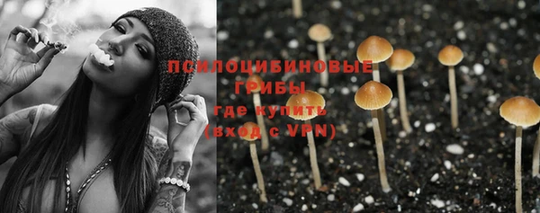 скорость Липки