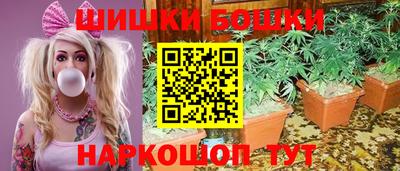 индика Аргун