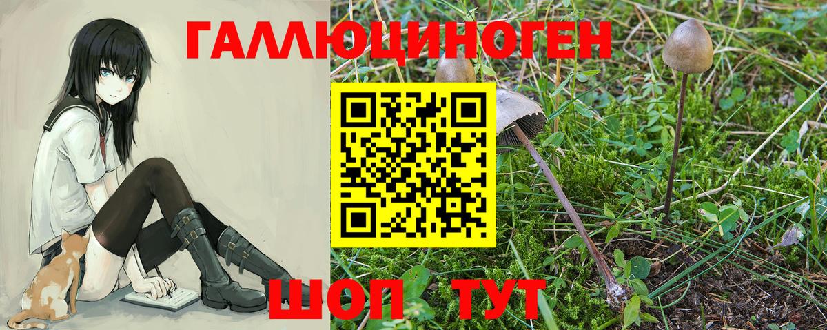 Галлюциногенные грибы мухоморы Электросталь